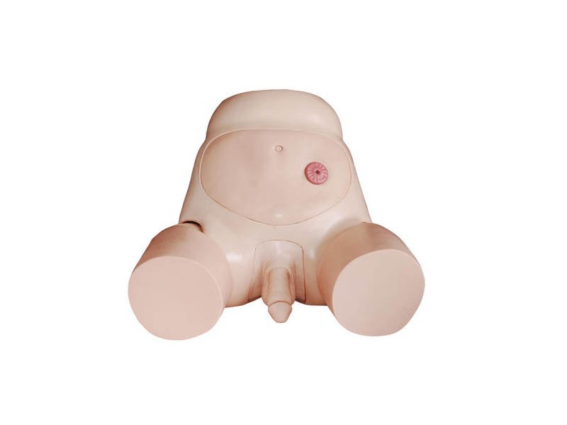 Modelo de Simulador de Cateterizaci&oacute;n Masculino