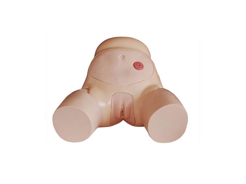 Modelo de Simulador de Cateterizaci&oacute;n Femenino