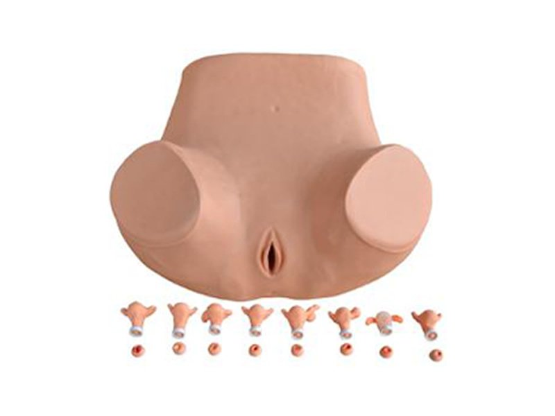 Modelo de Simulador Entrenamiento Ginecol&oacute;gico