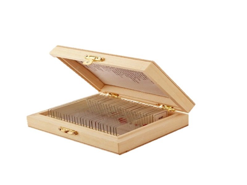 Serie para la ense&ntilde;anza de la Biolog&iacute;a II