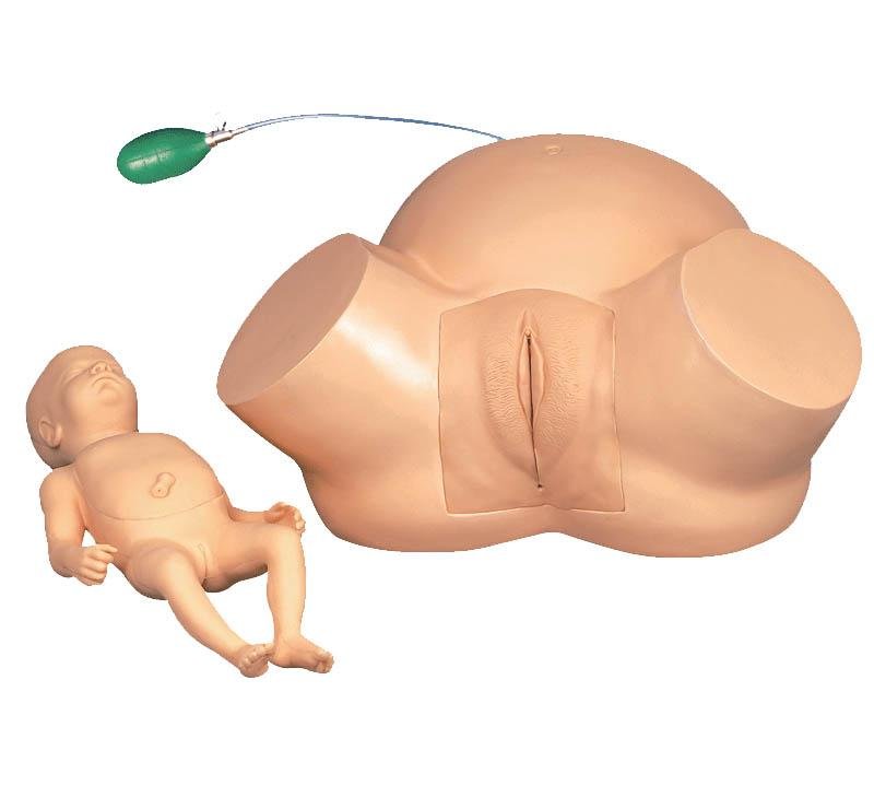 Modelo de Simulador de Parto con Distocia