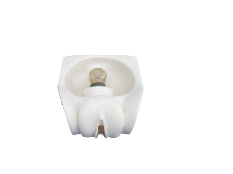 Modelo Anticoncepci&oacute;n Femenino