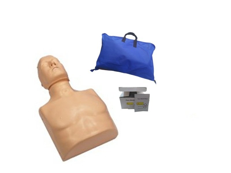 Modelo RCP Econ&oacute;mico