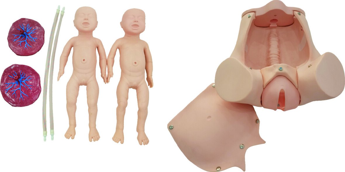 Modelo Simulador de Parto con Placenta y Cordon Umbilical 